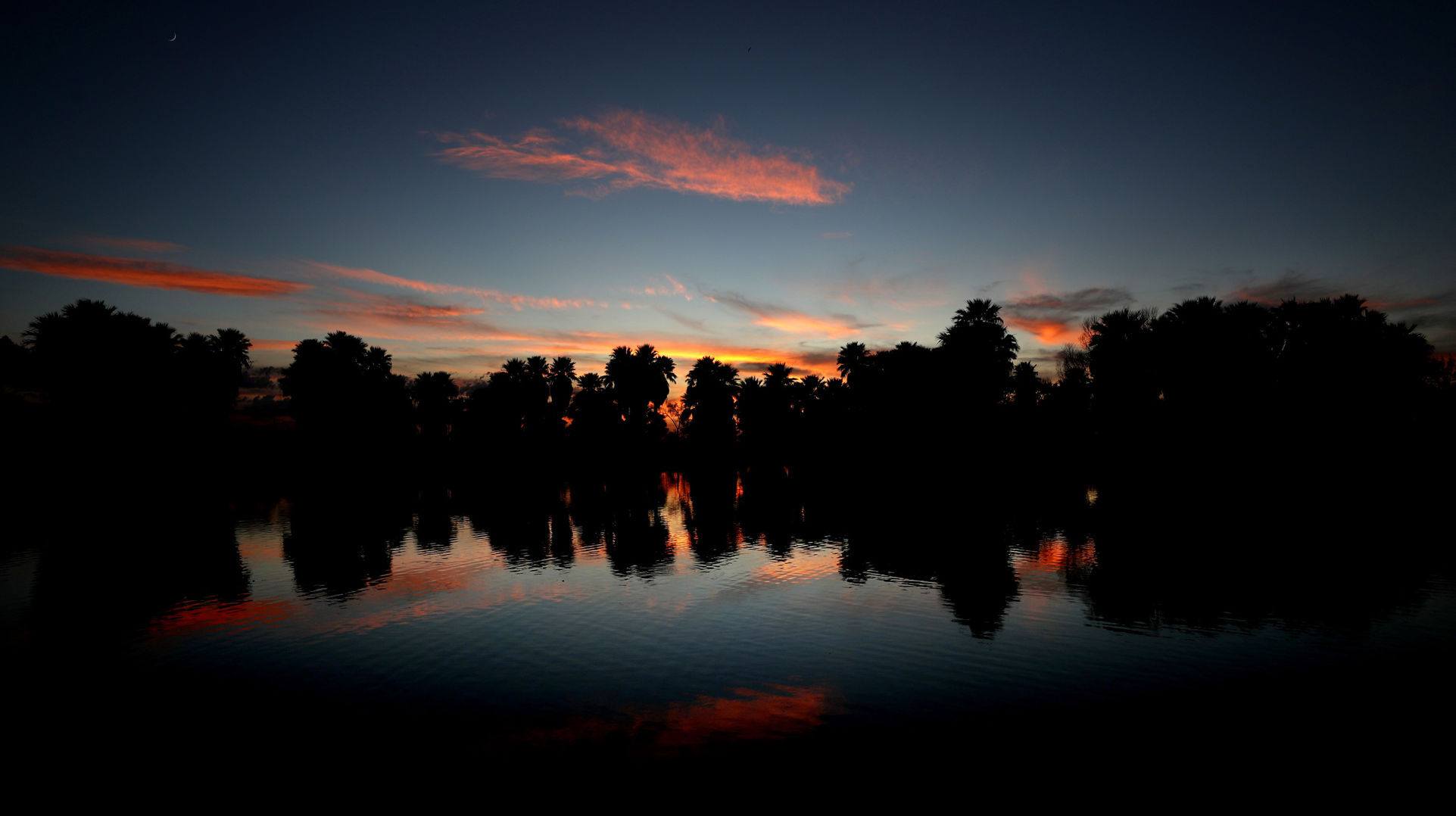 Agua Caliente Park, Tucson